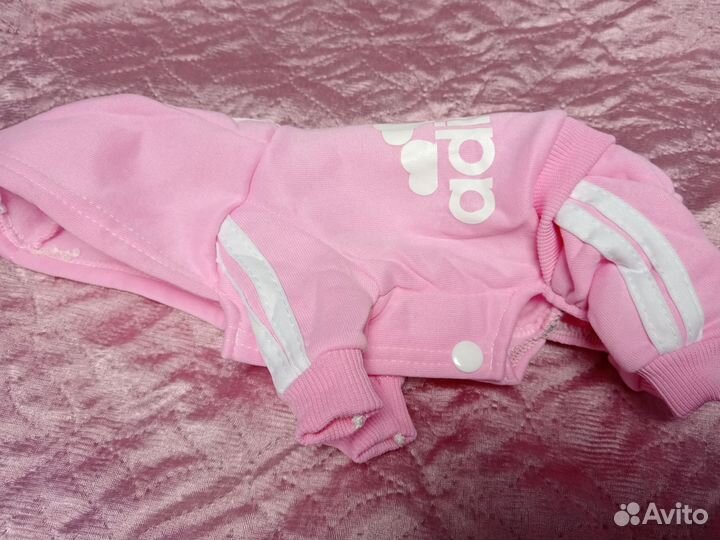 Одежда для маленьких собак, новая