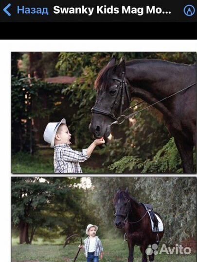 Пони и Лошадь на заказ