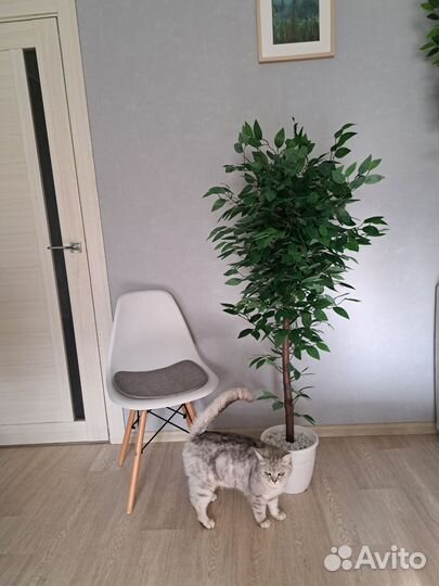 Искусственное дерево Фикус