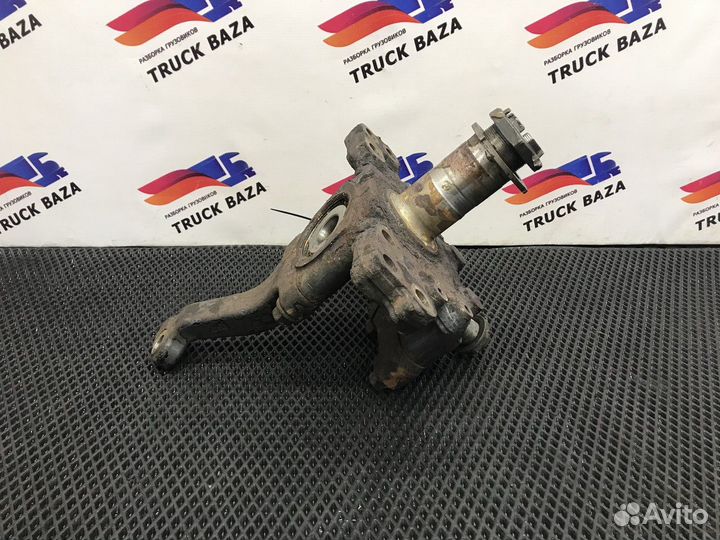 Кулак поворотный левый