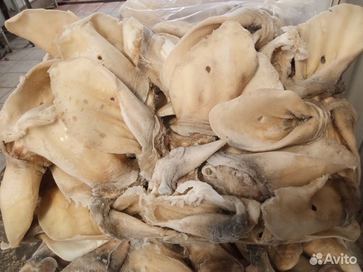 Мясо для собак