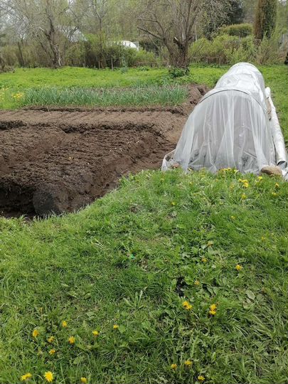 Дом 50 м² на участке 40 сот.