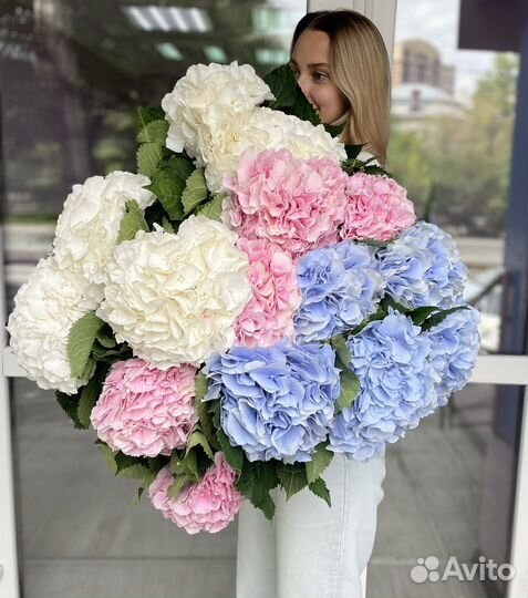 Букет гортензия, доставка цветов