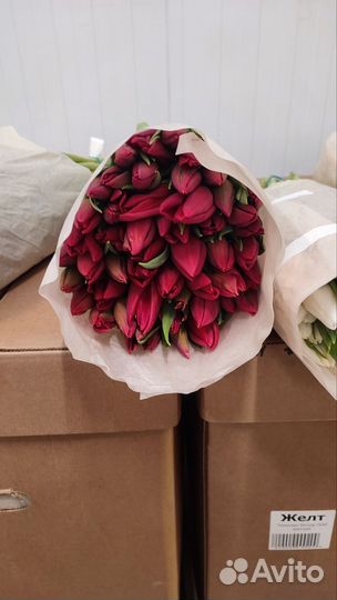 Тюльпаны с юга к 8 марта оптом