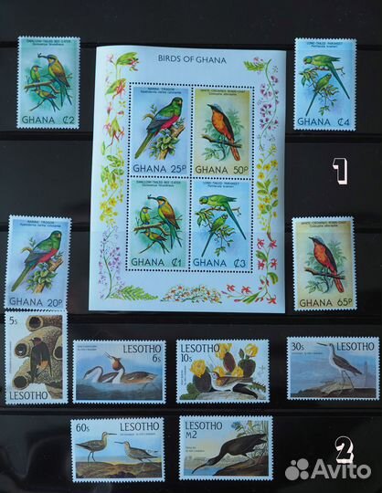 Марки фауна птицы не гашеные