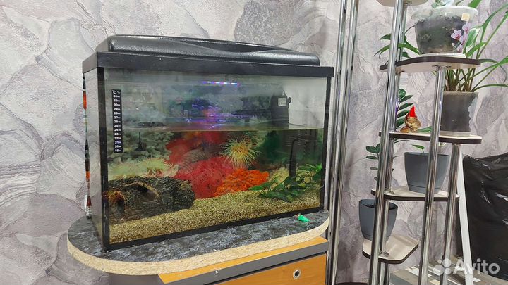 Аквариум 60л