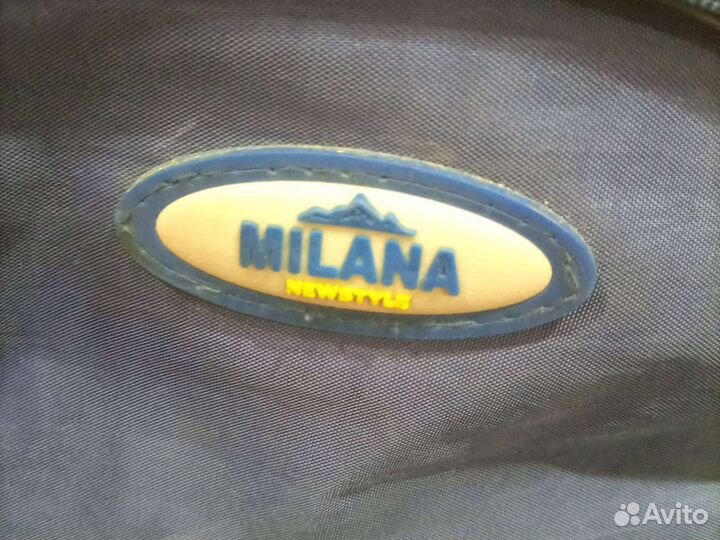 Сумка мужская спортивная бу