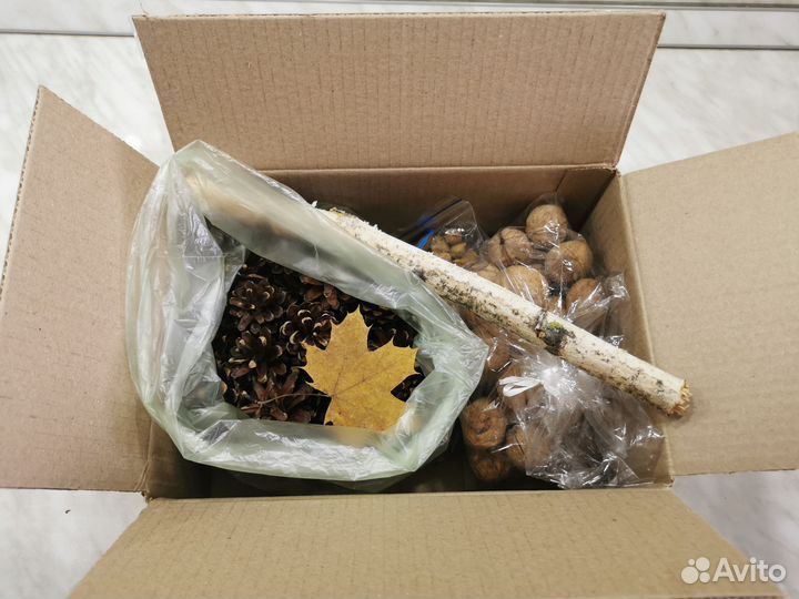 Природные материалы для творчества поделок