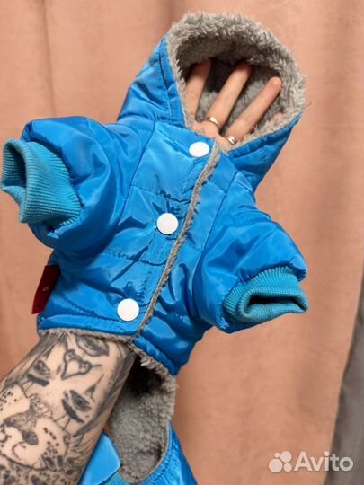 Комбинезон для собаки