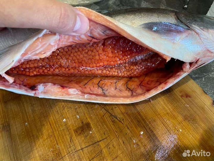 Лосось дальневосточный