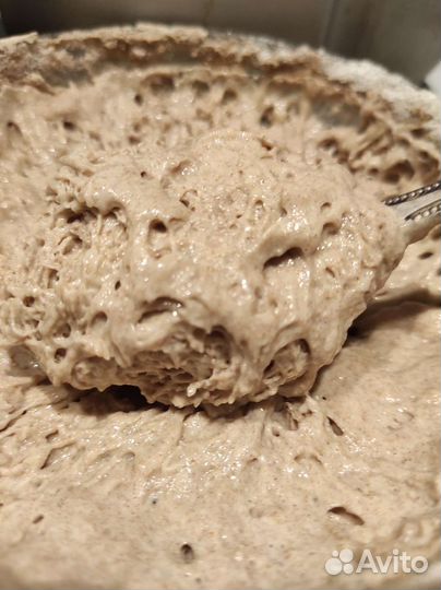 Закваска ржаная