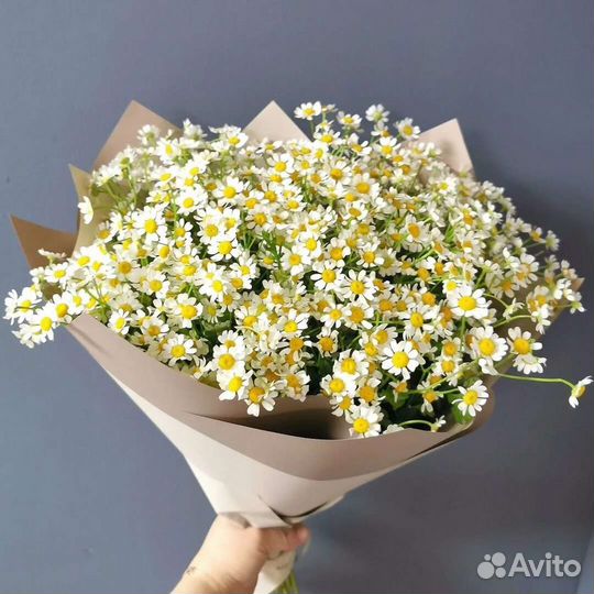 Ромашки, букет из ромашек, доставка цветов