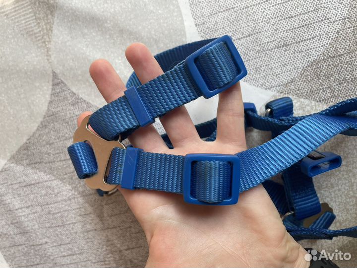 Шлейка для собаки trixie