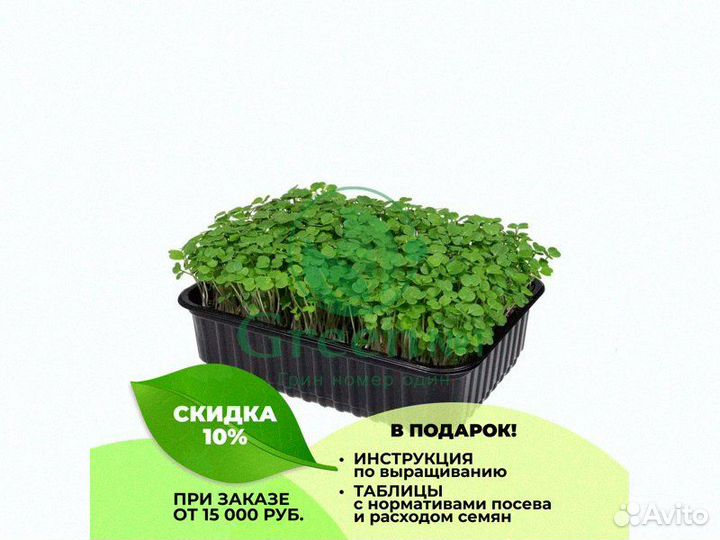 Семена весовые микрозелень