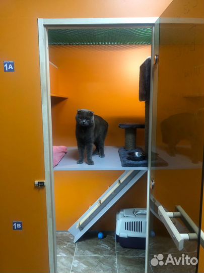 Зоогостиница, передержка животных