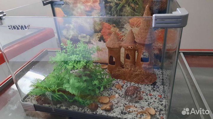 Аквариум