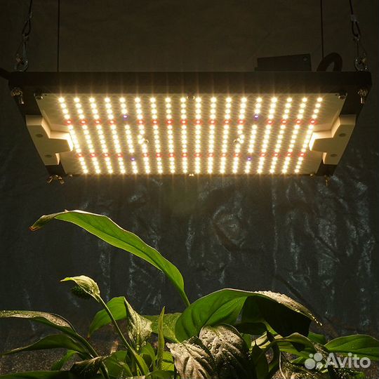 Quantum board 120W LM301h+660nm+IP65