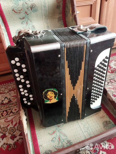 2 Детских баяна