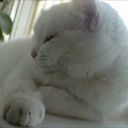 Лариса
