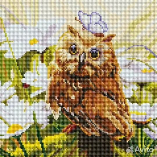 Соберу алмазную мозаику/раскрашу по номерам