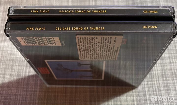 Pink Floyd-Delicate Sound of Thunder/Live/ 2CD