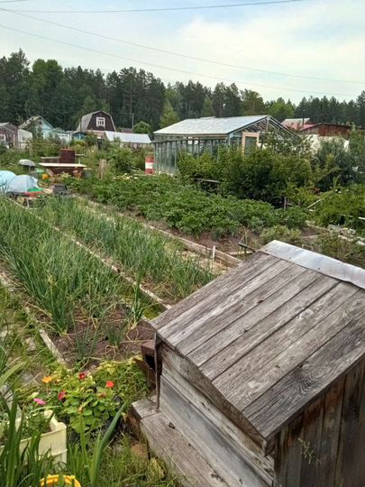 Участок 6 сот. (СНТ, ДНП)