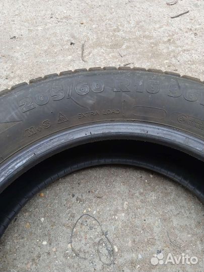 Tigar Winter 65/20 R16