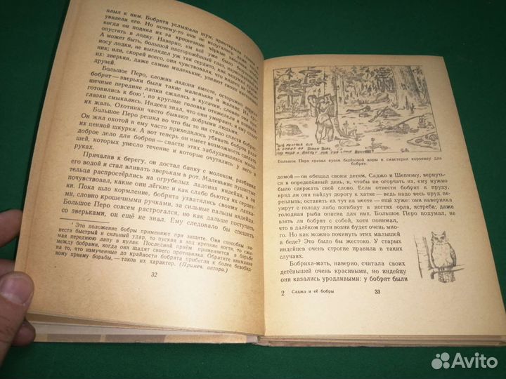 Серая Сова Саджо и её бобры рис. автора 1958г