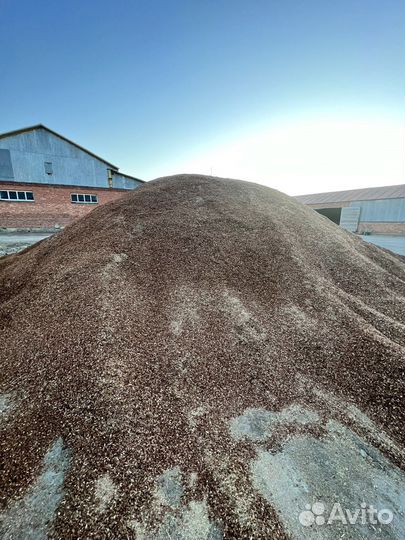 Зерноотходы чечевичные ячменные пшеничные