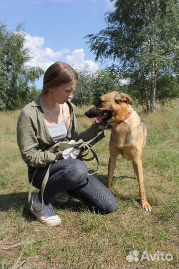 Лео хочет домой