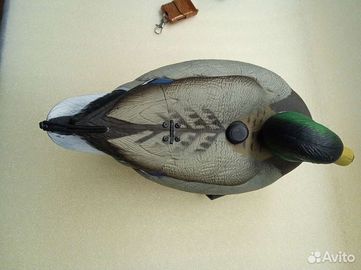 Махокрыл чучела уток плавают сами