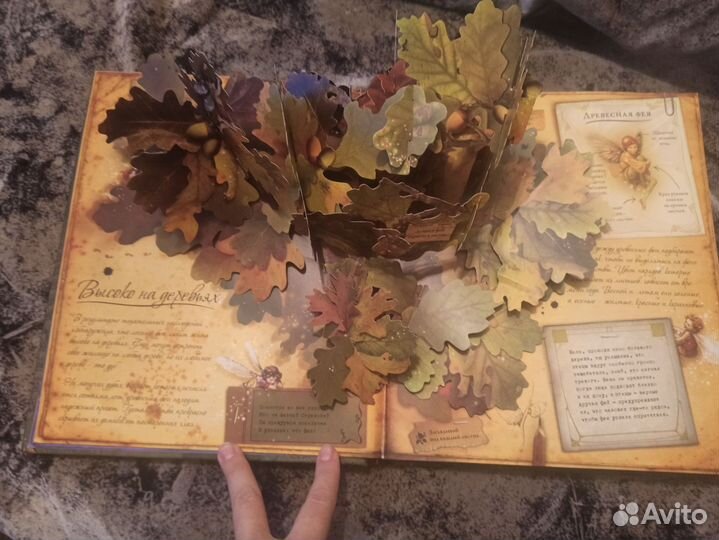 Королевство фей книга