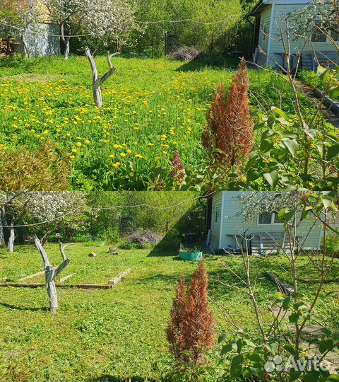 Покос травы и газона,спил деревьев