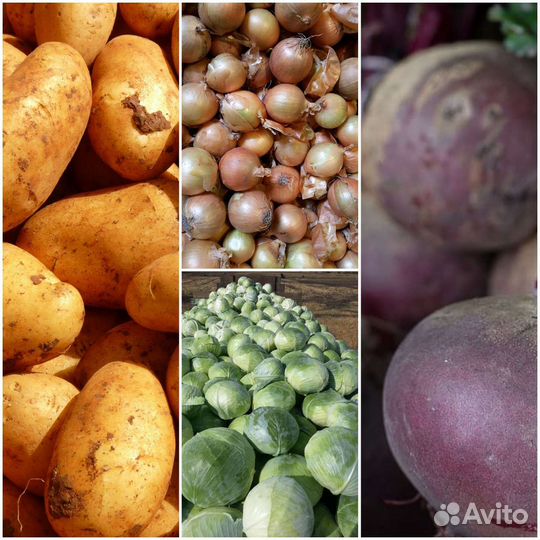 Овощи свежие