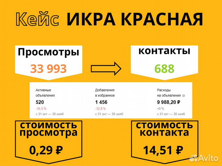 Авитолог / Услуги Авитолога