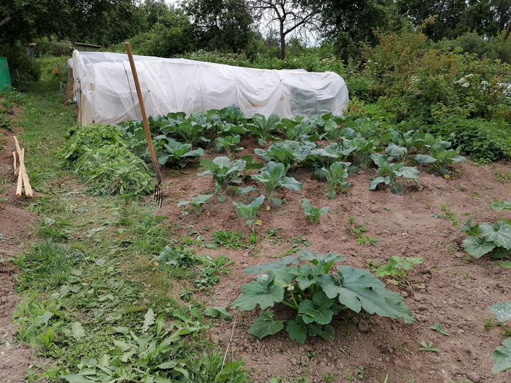 Дача 11 м² на участке 5,2 сот.