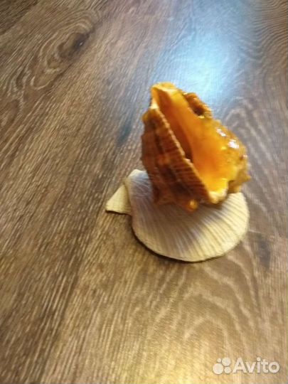 Статуэтка ракушка