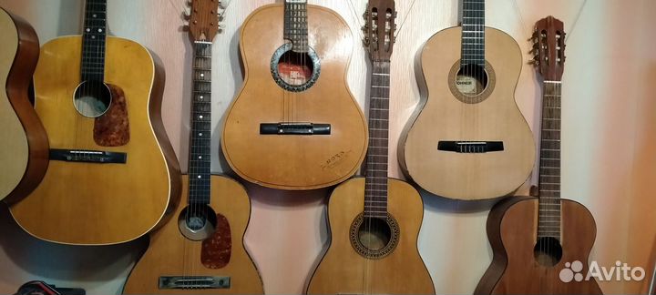 Гитары классические для музыкальной шкоды