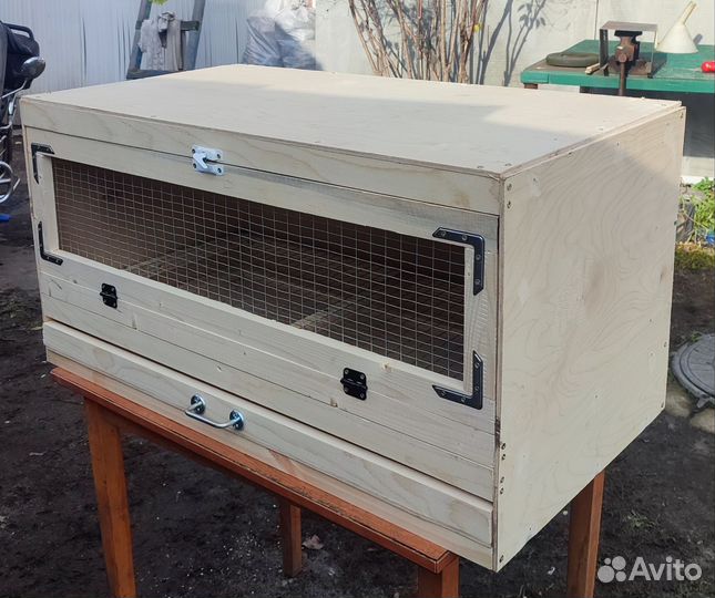 Брудер для цыплят