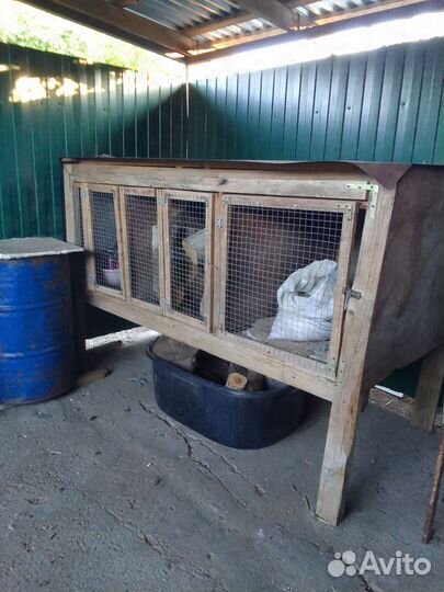 Кролятники