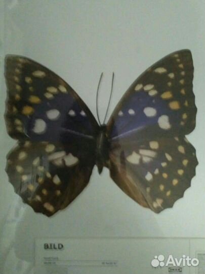 Постеры икеа