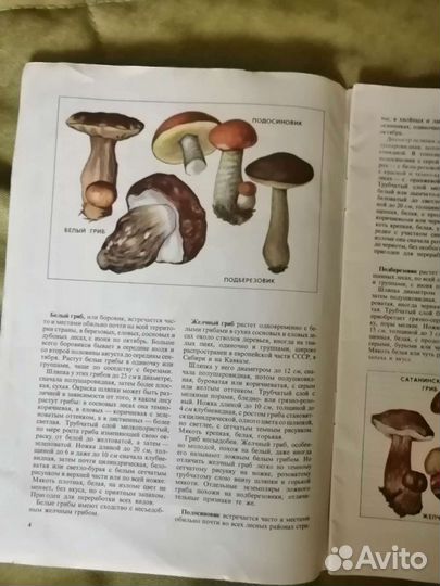 Журнал грибы СССР