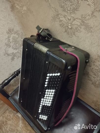 Баян тульский терка