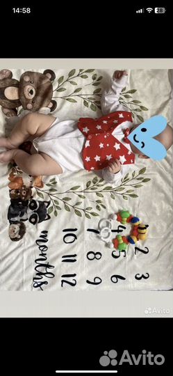 Фотоплед по месяцам