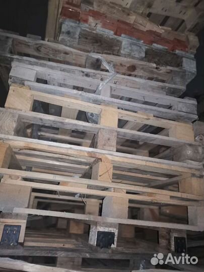 Приму поддоны