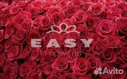 Розы Букеты Цветы 101,51 с доставкой