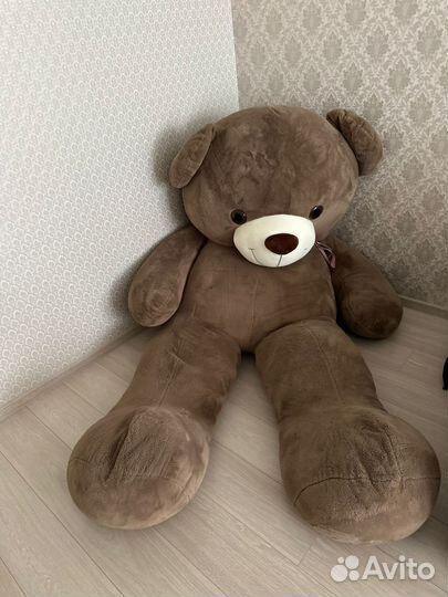 Плюшевый медведь