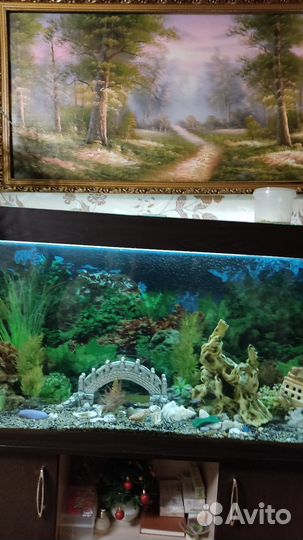 Аквариум на 390 литров