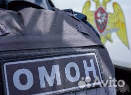 Полицейский боец