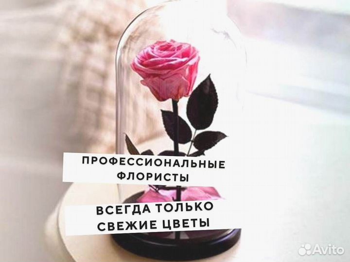 Вечная роза в колбе